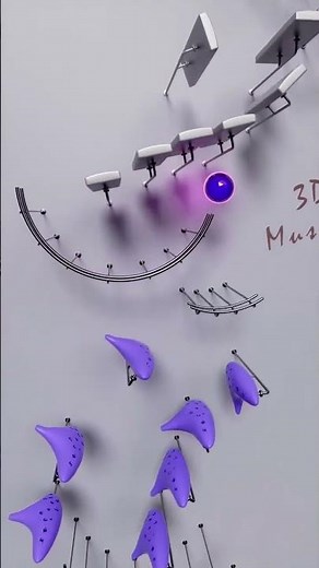 which ringtone sounds the best? #shorts