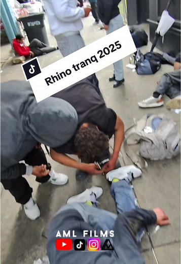 Rhino Tranq: The Dangers of Xylazine in Street Drugs