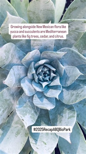 2025 Recap | Lebanon & Beyond!