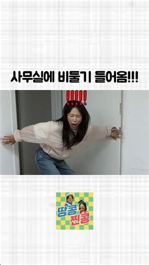 사무실에 비둘기 들어옴!!!!