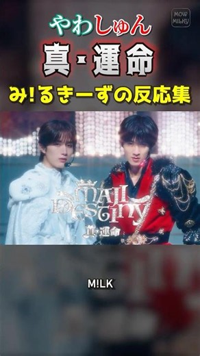 ㊗️10万再生【M!LK】やわしゅん｢真・運命｣MV み！るきーず反応集 #milk #曽野舜太 #山中柔太朗 #マジデスティニー #やわしゅん #ミルク #みるく