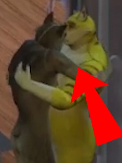 Furry Kissing Moments in The Sims Gameplay