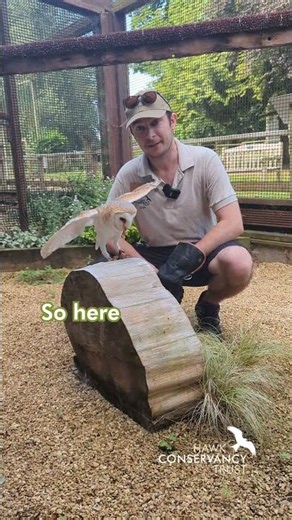 Tom Morath and Willow the Barn Owl