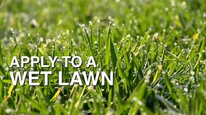 Turf Builder Triple Action1, 12,000 sq. ft., Lawn Fertilizer with Weed Control and Preventer