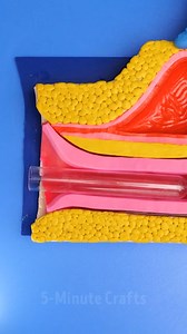 938K views · 974 reactions | Medical solutions for feminine wellness  | Green Bean | Facebook