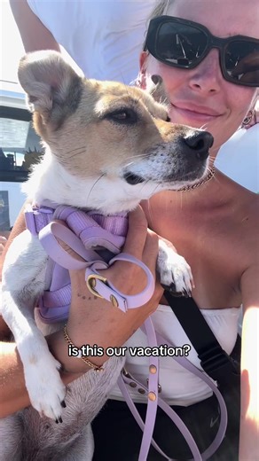 Zuki the Zucchini on TikTok