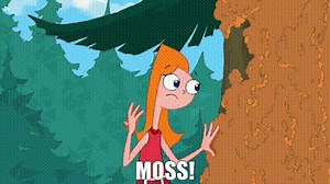 Moss!