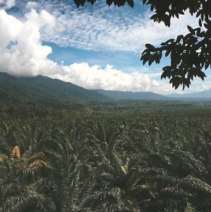 13K views · 77 reactions | We're continuing our work to end...