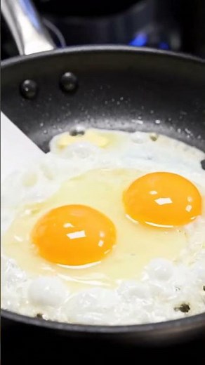 Future Robot Evolution – Amazing AI Robot Scenes | Robot Chef Cooking Food | Robot Cooking #VidoBot