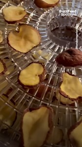 121K views · 1.1K reactions | An ant repellant you can make at home! Get the dehydrator here: https://amzn.to/3cFTmOi Follow Megan London (@londonspriorities) for more! We hope you love the products we recommend! Just so you know, BuzzFeed may collect a share of sales from any links in this video description. | Tasty | Facebook