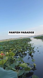 PANFISH PARADISE - New Itty Bit Series baits | Bobby Garland Crappie Baits