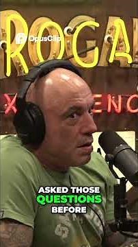 Alex the Parrot Existential Questions & Amazing Brain