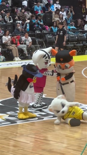 【サンロッカーズ渋谷】ある日のサンディー2025-26 つばみちゃん #7