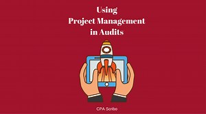 Project Management in Audits: Key to Profit