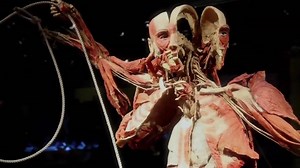 We're just days away from opening BODY WORLDS Vital to the public this Friday! See it first at the Premiere Event on Thursday night. http://bit.ly/19r7RE | Buffalo Museum of Science