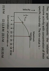 This graph represents the relation of enzyme activity with conc... | Filo
