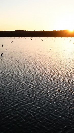 11 reactions |  The Best in the Business. The Proof’s in the Steel....