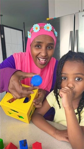 Learning Shapes with Gigi