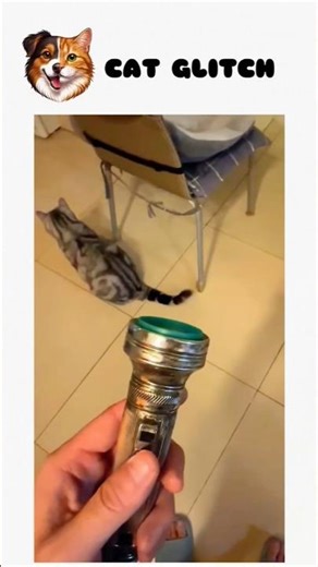 My washing machine during the spin cycle