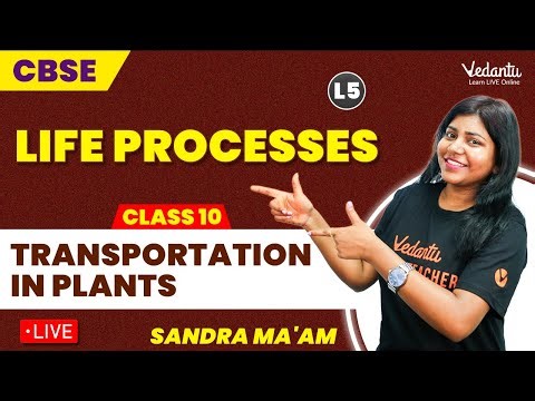 Life Processes L5 | Transportation in Plants | Class 10 | Sandra ma'am