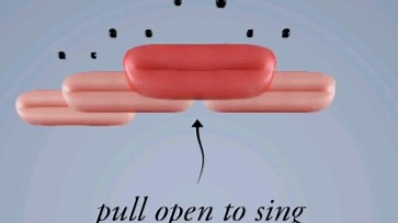pull open to sing