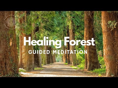 Healing In The Enchanted Forest, Binaural Guided Meditation