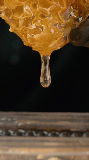 Making Honey Candy from Fresh Honeycomb 🍯🐝