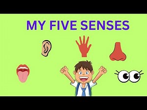 I Have 5 SENSES | |Educational Video For KIDS | | English Vocabulary |