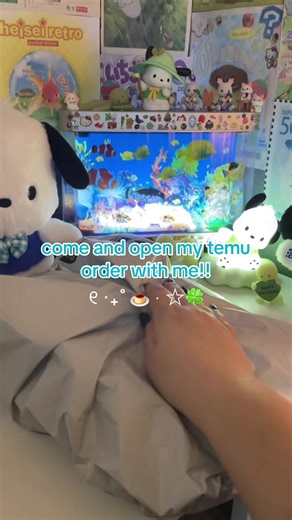 Unboxing My Temu Order – Fun Finds!