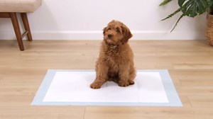 Gorilla Guard Disposable Puppy Pads, 100 Count 22x22 in, 5 Layer Pee Pads for Dogs, Absorbent Diaper Changing Pad, Dog Potty Training Supplies, Quick Dry Pet Housebreaking Essentials for Puppies