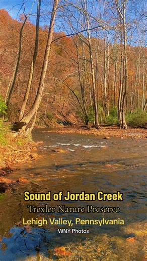 Beautiful sounds of the Jordan Creek flowing in Trexler Nature...