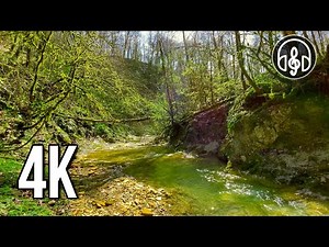 Spring mountain stream with birdsong. 10 hours of relaxing 4K video.