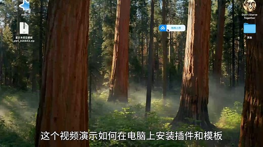 anki 如何安装插件和模板