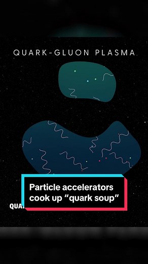 Just after the Big Bang, before atoms even formed, quarks and gluons floated around in a perfect fluid. This “quark soup” isn’t found in nature, but particle accelerators can help recreate these conditions and reveal the secrets of the universe from the very beginning of time itself. 🔗 Watch the full video at the link in our bio 🎤 Clara Moskowitz 🎞️ Jeffery DelViscio 🎨 Jason Drakeford 📸 Brookhaven National Laboratory & NASA’s Goddard Space Flight Center/CI Lab #scientificamerican #sciam #as