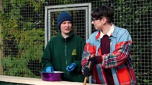 1.3K views · 58 reactions | Join us with our friends at Shepreth Wildlife Park as we learn all about the Asian Small-Clawed Otter! 簾 The Asian Small-Clawed Otter is available in your zoos now, as part of the Planet Zoo: Wetlands Animal Pack Check it out! You can also find it over on our Youtube: https://www.youtube.com/watch?v=-lnGU3i44UA | Planet Zoo | Facebook