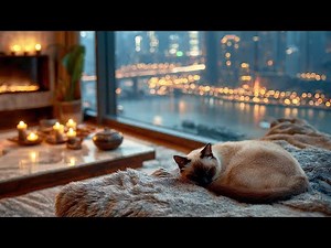 Penthouse Nap | Chill Lo-fi Beats Mix, Study & Relax Music
