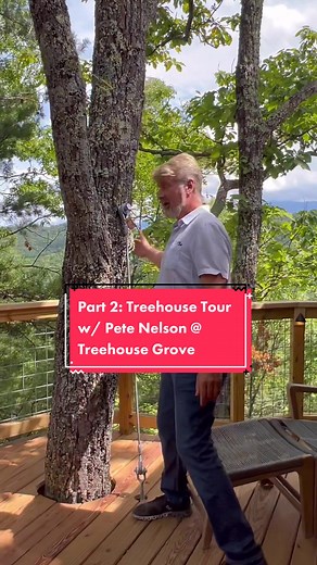Nelson Treehouse on TikTok