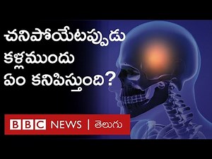 Life before death: చనిపోవడానికి 30 సెకన్ల ముందు మెదడులో ఏం జరుగుతుంది? | BBC Telugu