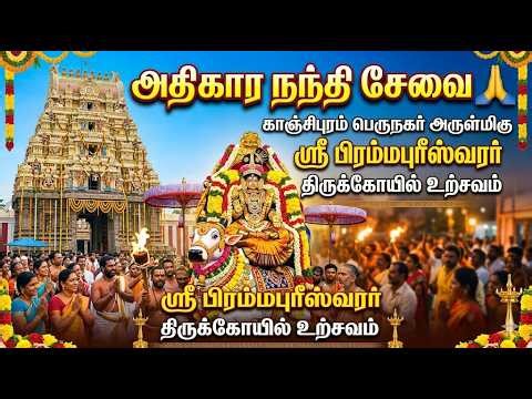 🔴 அதிகார நந்தி சேவை 🙏காஞ்சிபுரம் பெருநகர் அருள்மிகு ஶ்ரீ பிரம்மபுரீஸ்வரர் திருக்கோயில் உற்சவம்