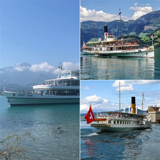 Think Switzerland is all about mountains? The BEST BOAT RIDES will show you a completely different side of the country! 🚤 Check out our guide to the MOST SCENIC BOAT TRIPS in SWITZERLAND. Link in the comments 👇👇👇 | Swiss Travel Tips