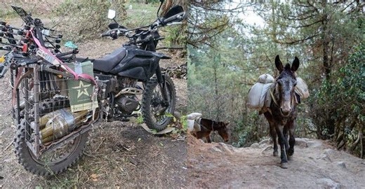 The Collapse Begins: Russian Forces Spearhead Largest Single-Day Breakthrough of War