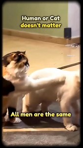 Men will be men🥴🐸 | Small Things -"A life less scripted "