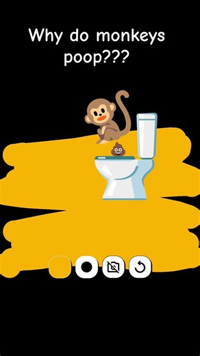 Why do monkeys poop??