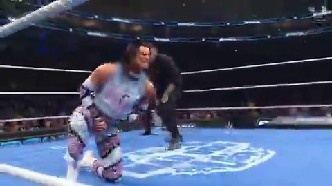 This is not JellyRoll specific, I have never understood why the leg drop low blow and inverted atomic drop aren’t disqualifications.