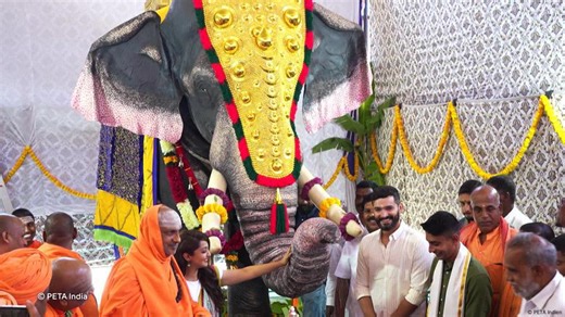 Robotic elephant in Indian temple rituals