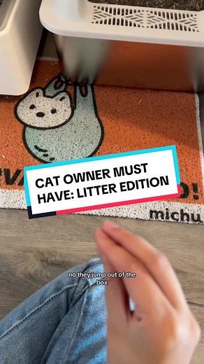 Cat Litter Hacks for Every Cat Owner