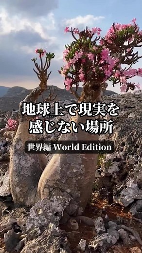 地球上の現実を感じない絶景スポット