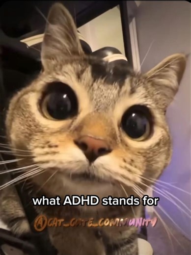 Do you know what ADHD stands for? 🤔