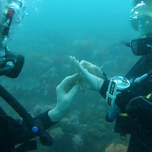 Excited adventure of the underwater proposal 💍💍 | MetDaan Tips