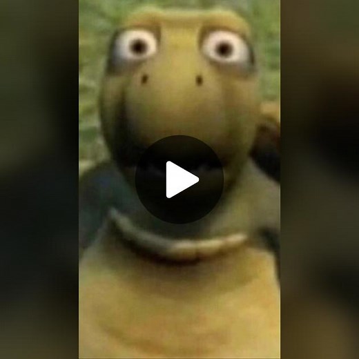 Making a New Friend: Cute Possums on TikTok